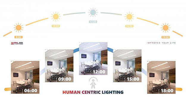 La Importancia del diseño de Iluminación en un Call Center 24/7 