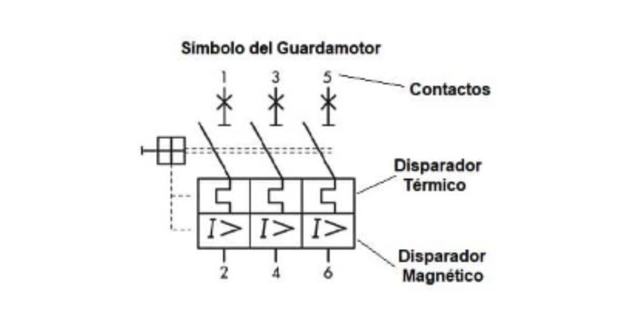 Curva de funcionamiento de guardamotor mostrando zona térmica y magnética